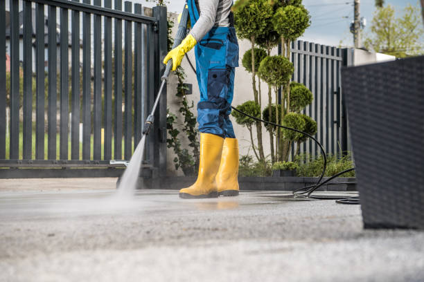 Animal Enclosure Cleaning in Medina, MN